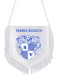 Macron Autowimpel | Bild 1