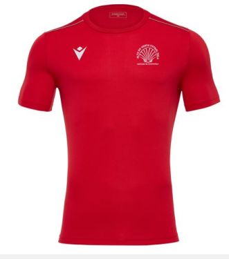 Camiseta