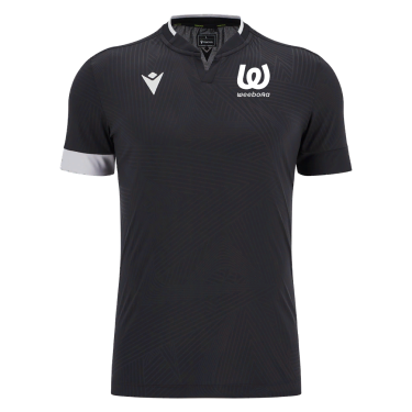 Magister icon polo