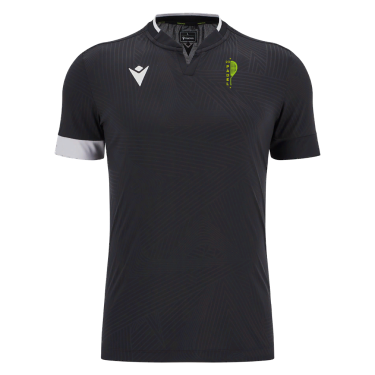 Magister icon polo