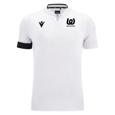 Magister icon polo