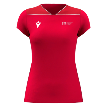 Zinc trikot