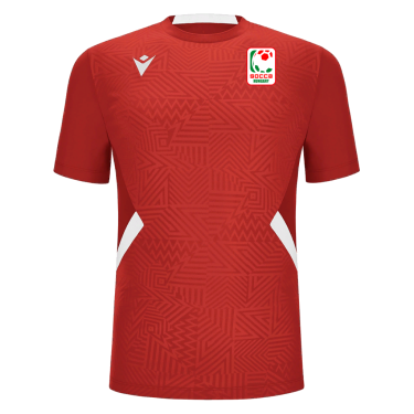 Shedir jersey