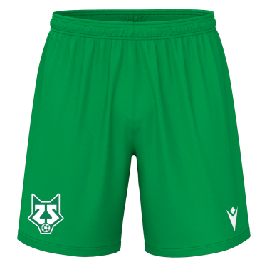 Mesa hero shorts
