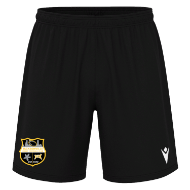 Mesa hero shorts