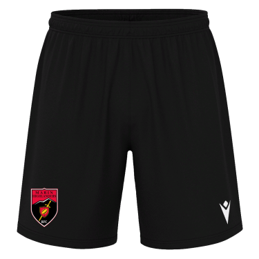 Mesa hero shorts
