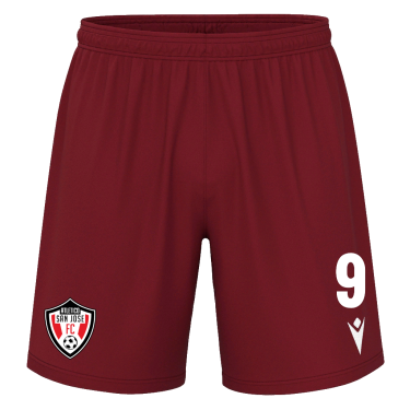 Mesa hero shorts