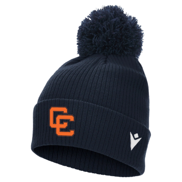 Snow pom pom beanie