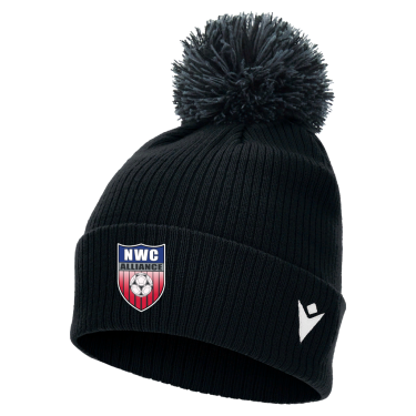 Snow pom pom beanie