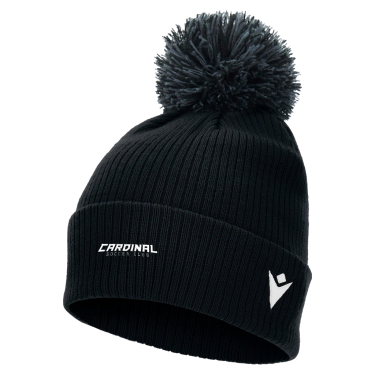 Snow pom pom beanie