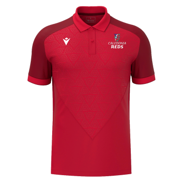 Baldwin polo jr