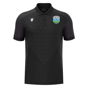 Baldwin polo jr