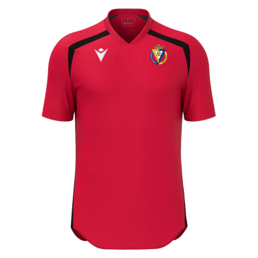 Wyrm camiseta