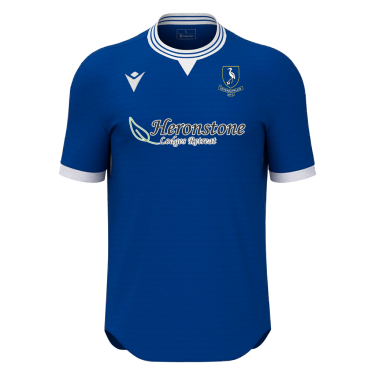 Elves jersey jr