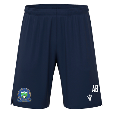 Aster bermuda jr