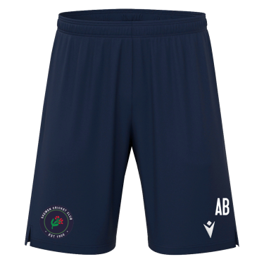 Aster bermuda jr