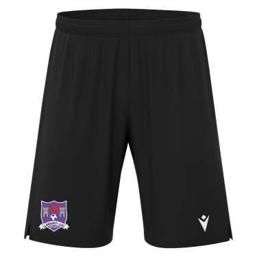 Aster bermuda jr