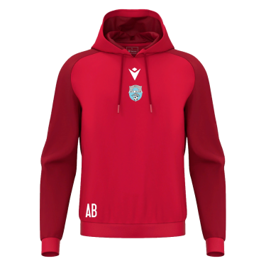 Horn sweatshirt jr
