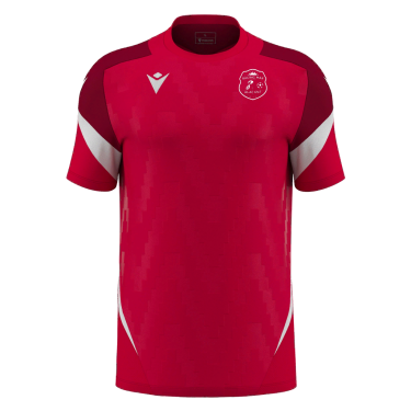 Camiseta