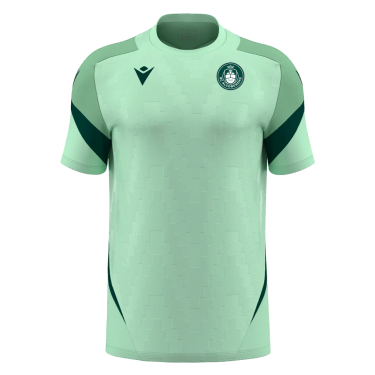 Camiseta entrenamiento