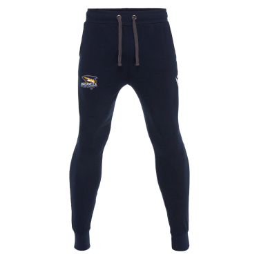 Pantaloni in felpa garzata harp