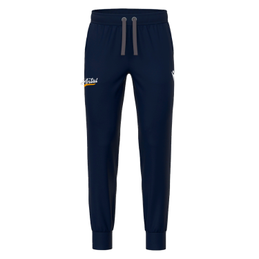 Pantaloni in felpa garzata harp