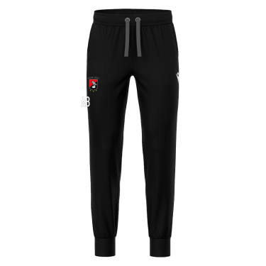 Pantalons en sweat gratté harp