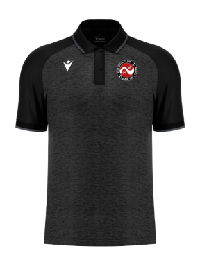 Aulos polo