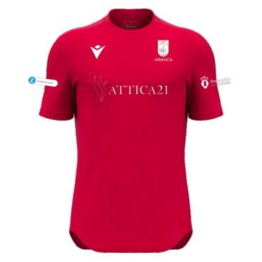 Camiseta entreno