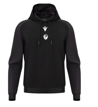 Sweat à capuche horn avec écusson
