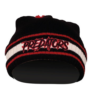 Ps stadium beanie