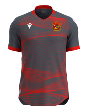 Wyvern eco maillot