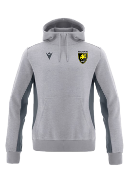 Sweat-shirt avec capuche dance gris avec logo brodé