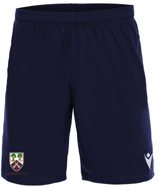 Mesa hero shorts jr
