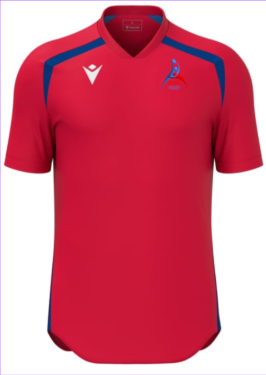 Maillot wyrm rouge/bleu royal avec écusson