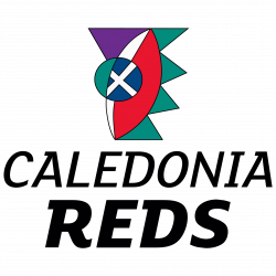 Club icon