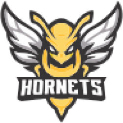 Club icon