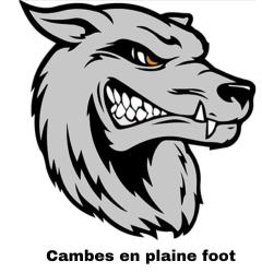 Club icon