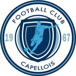 Club icon