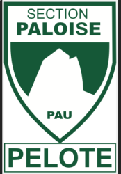 Club icon