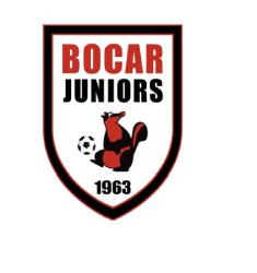 Club icon