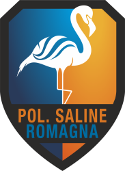 Club icon