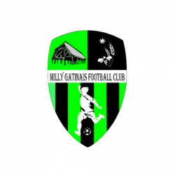 Club icon