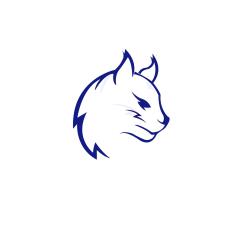 Club icon