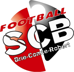 Club icon