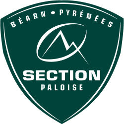 Club icon