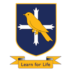 Club icon