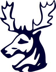 Club icon