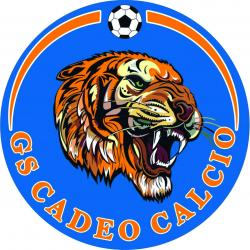 Club icon