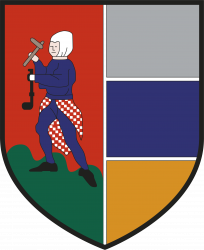 Club icon